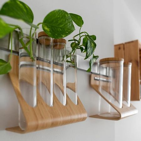 코라레호 Casablanca House 아파트 외부 사진